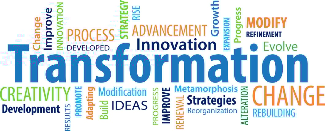 transformation NMSDC brand colors